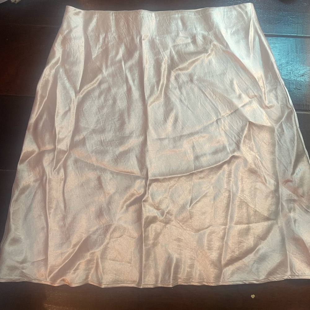 Aritzia mini skirt